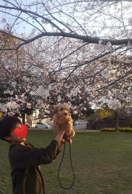 4月も終わりますね！