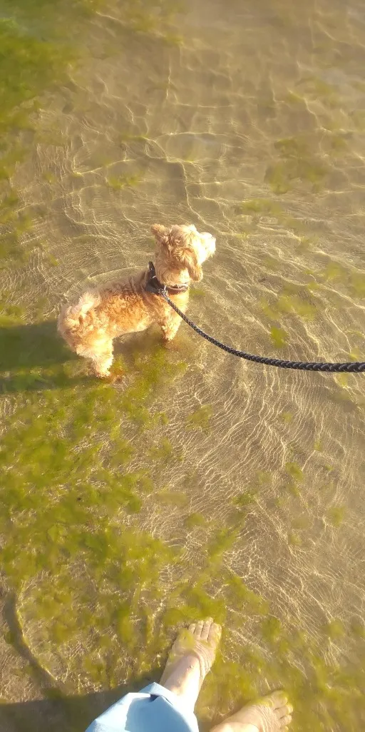 プリンス、初の海へ