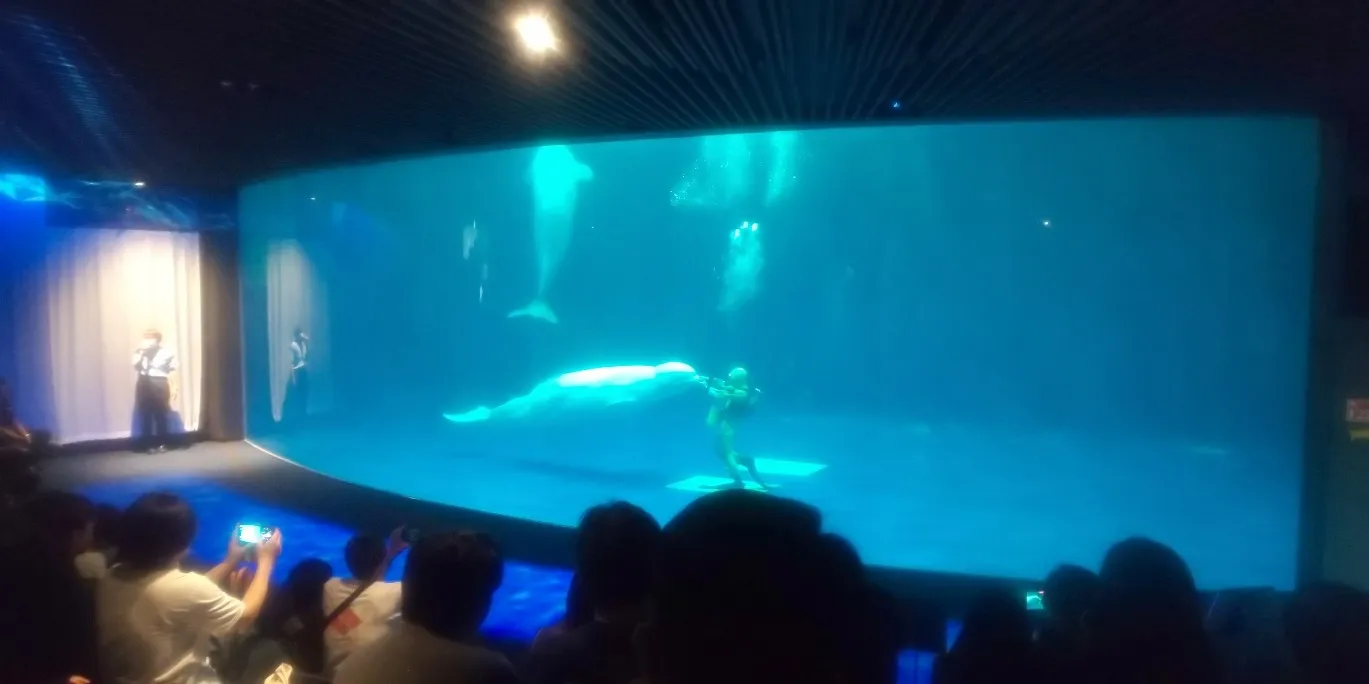 娘と二人旅⑤アクアス水族館