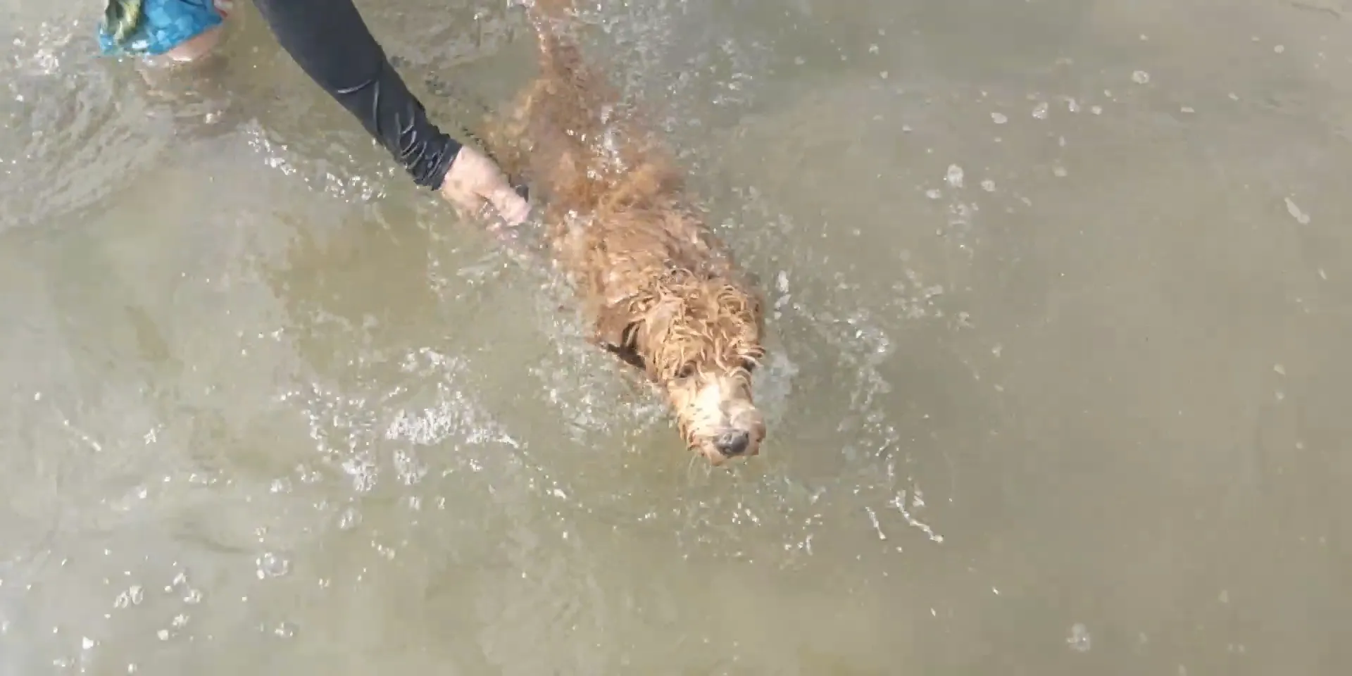 すっかり秋ですね🍂