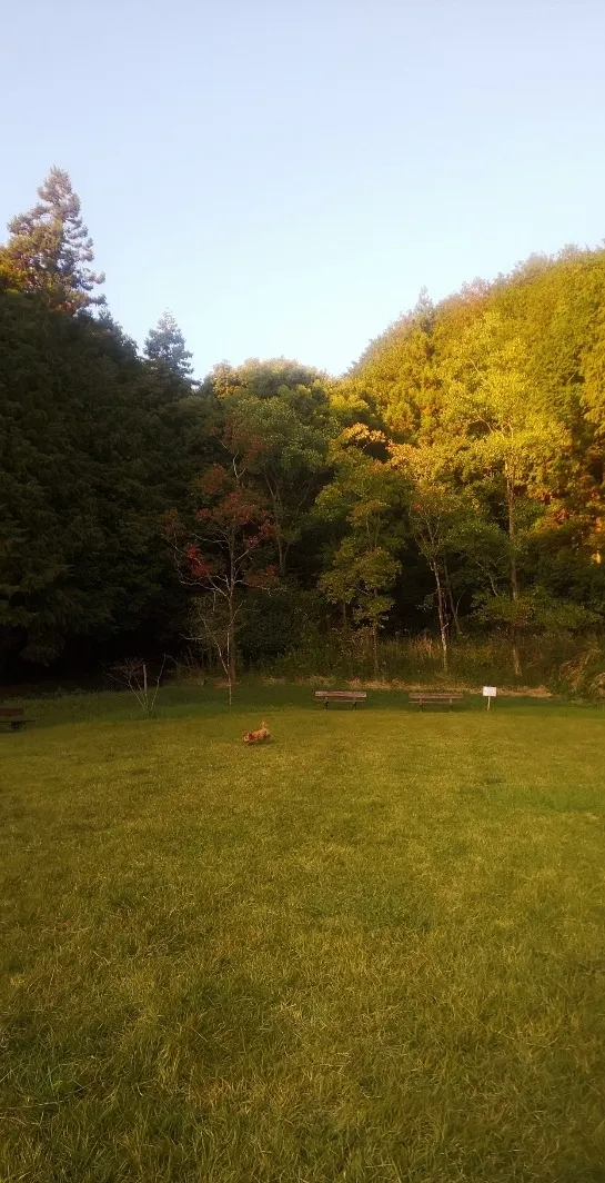 進化していくサロンへ