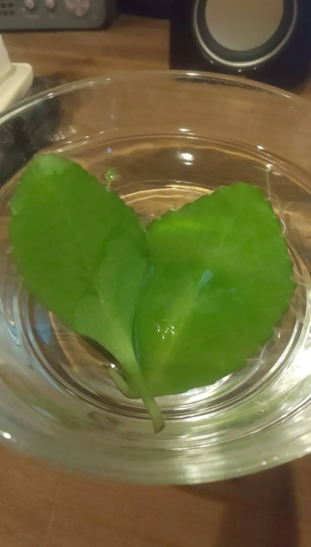 結婚ブーム到来？💛